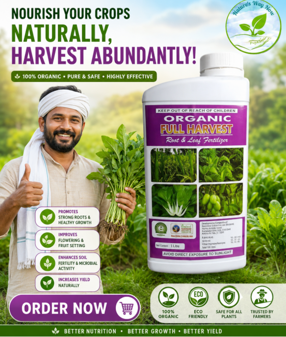 Foliar 4 Foliar 4